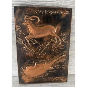 Vtg Mid Century Cyprus Copper Repousse Relief Map Mouflon Wall Plaque Art Venus